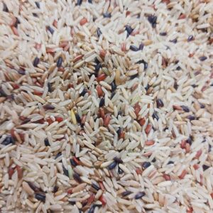 ARROZ 7 GRÃOS 100g