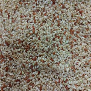 ARROZ CATETO COM VERMELHO INTEGRAL 100g