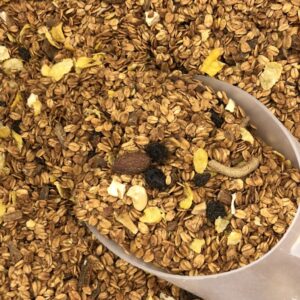 GRANOLA COM AÇÚCAR 100g